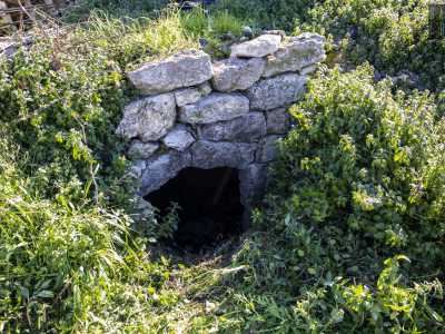 L�accesso affiora dal terreno per poco meno di un metro ed � ostruito da rampicanti, ma riusciamo comunque ad affacciarci per intravederne l�interno